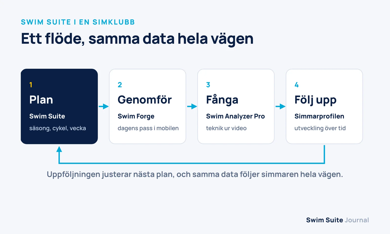 Vier Schritte in einem Ablauf: Planen in Swim Suite, Umsetzen in Swim Forge, Erfassen in Swim Analyzer Pro und Auswerten im Schwimmerprofil, mit einem Pfeil zurück zum Plan